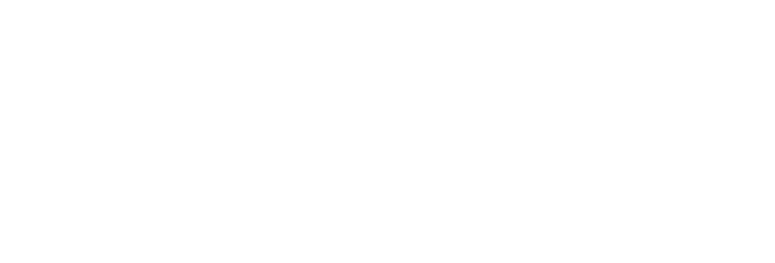 White logo AVS