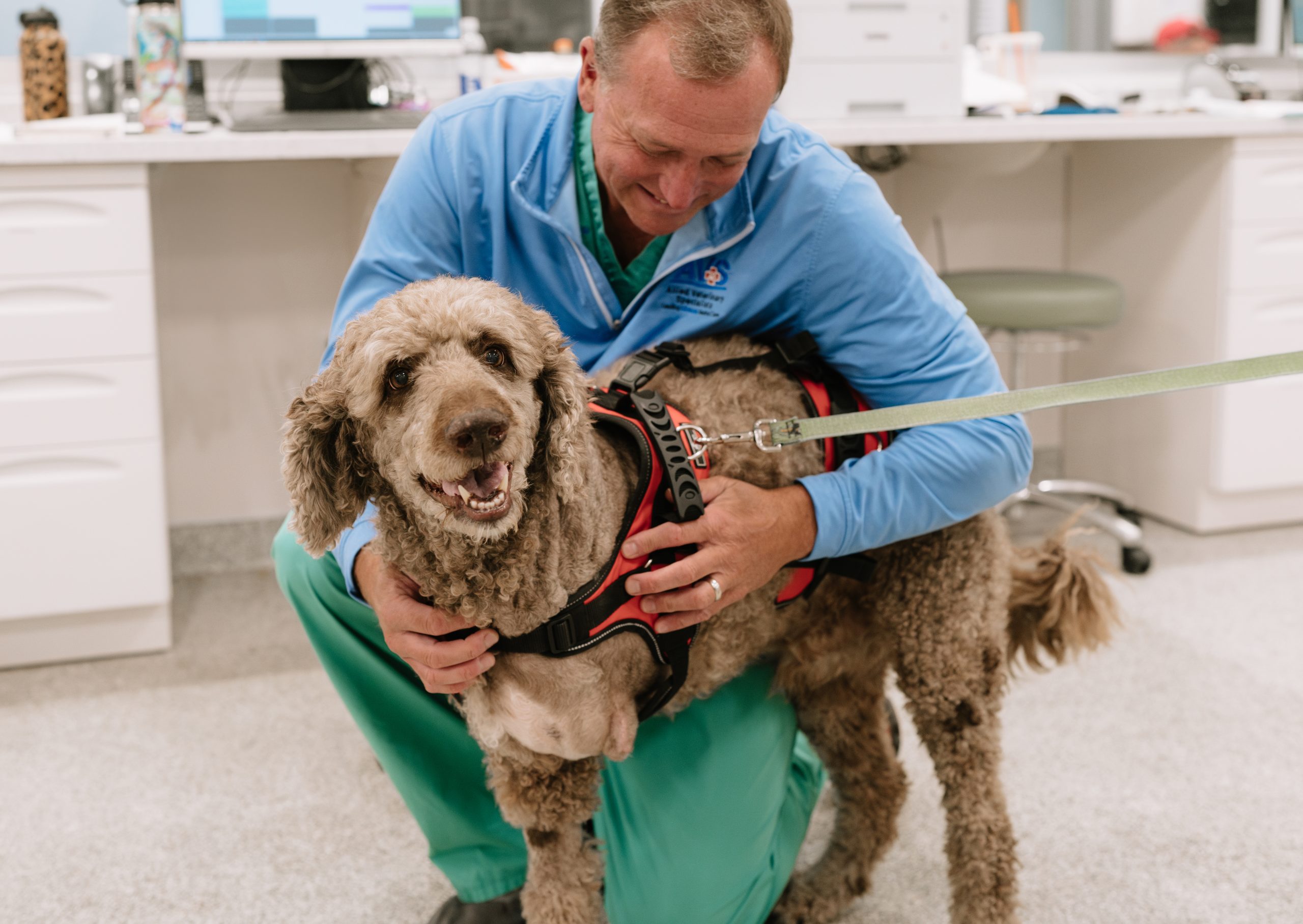 AVS surgeon and dog