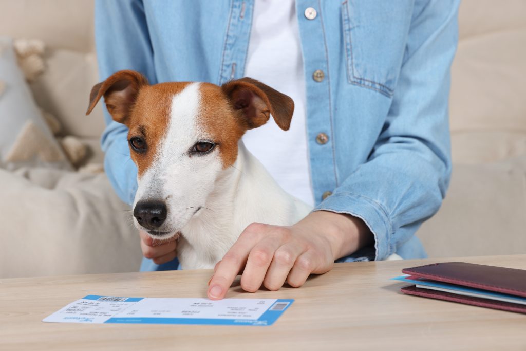 Woman making payment vets office