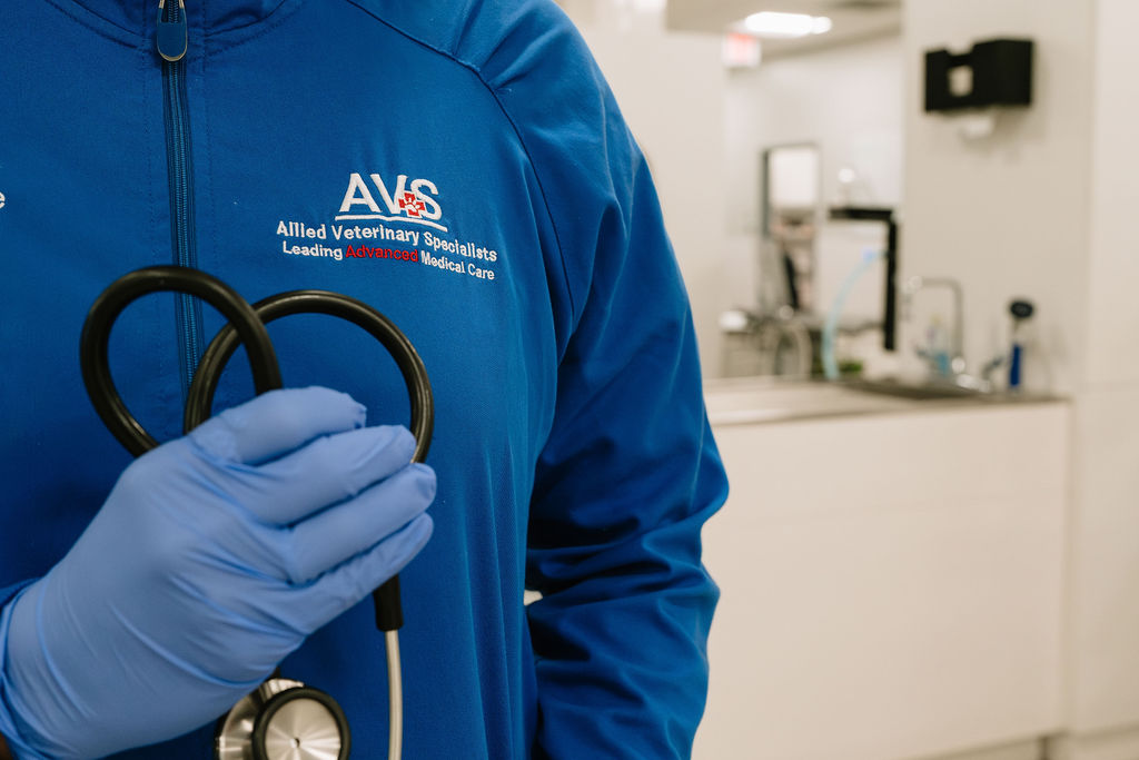 AVS Nurse
