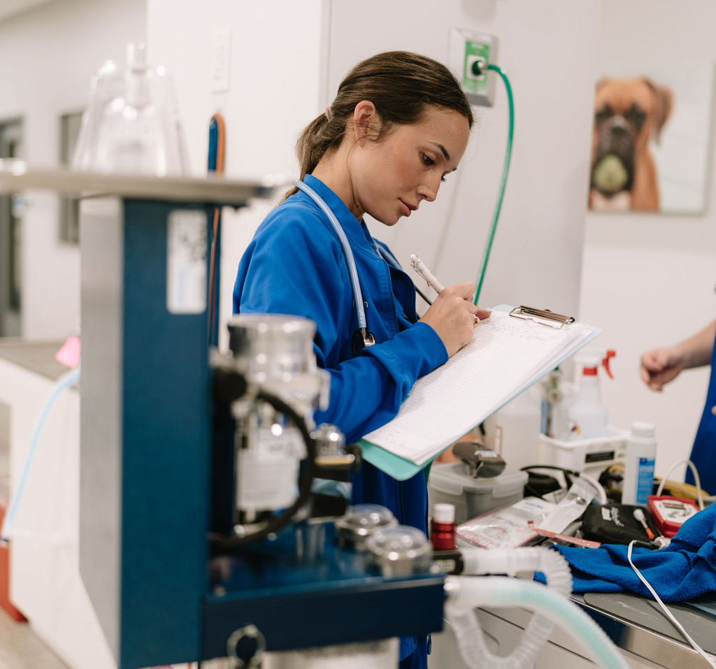 AVS Veterinary anesthesiologists
